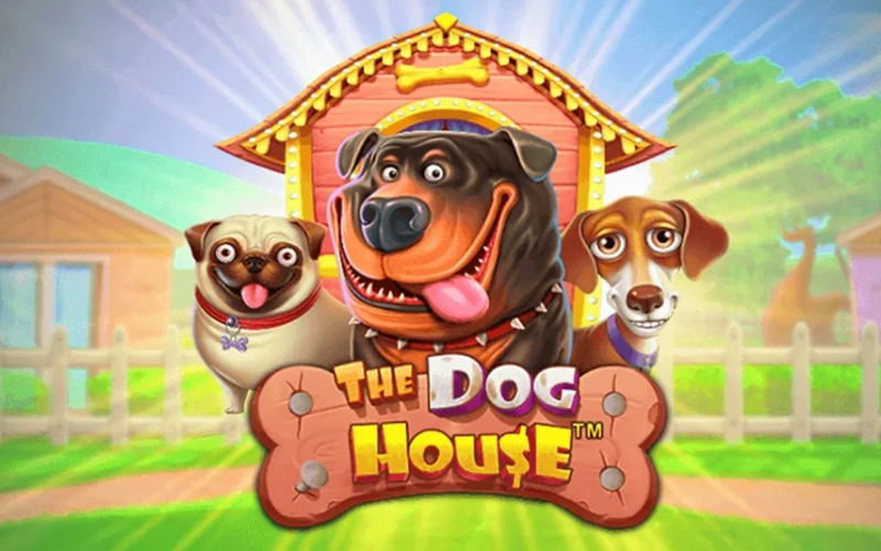 Jugá a The Dog House en Betano, activá giros gratis con multiplicadores y ganá.